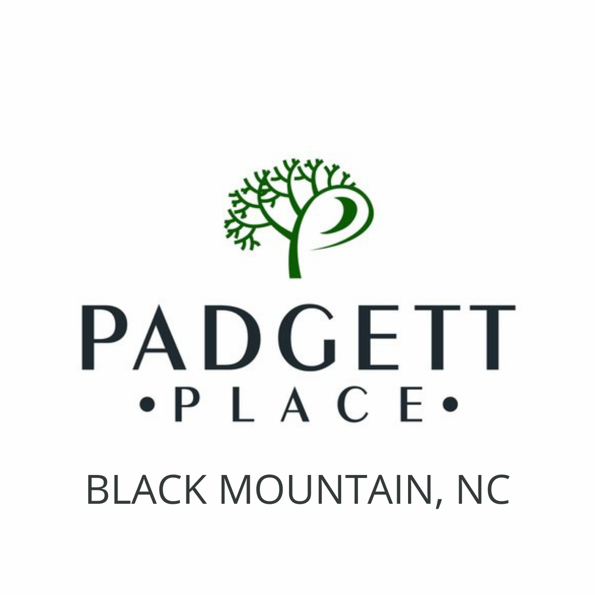 Padgett Place